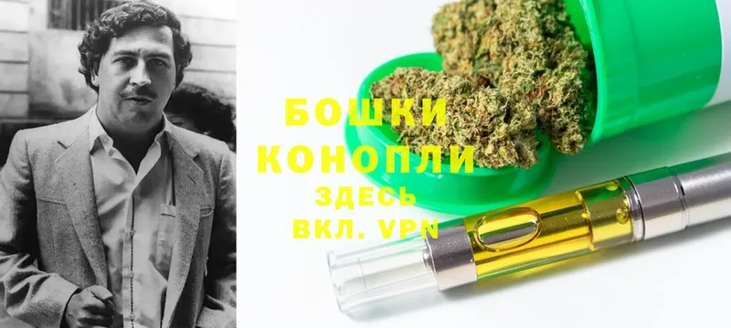 Конопля LSD WEED  mega ссылки  Галич  купить наркоту 